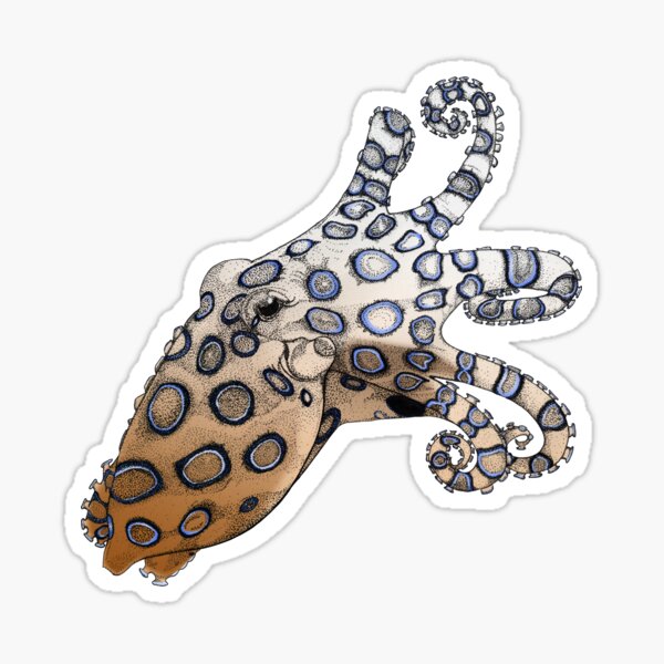 Blue-Ringed Octopus Color Sticker