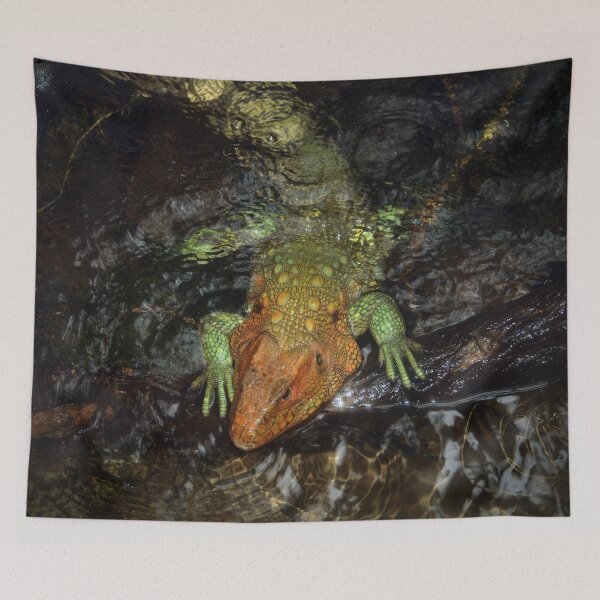 Item preview, Northern Caiman Lizard designed and sold by Savannah Gibbs.