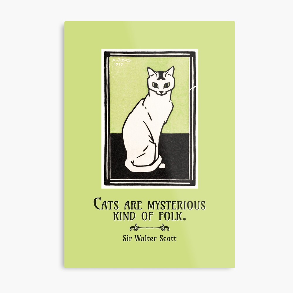 Mysterious Cat Sir Walter Scott Quote With Julie De Graag Illustration Canvas Print By Stpbooks Redbubble