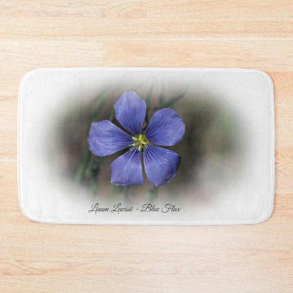 Item preview, Linum Lewisii - Blue Flax designed and sold by Len Bomba.