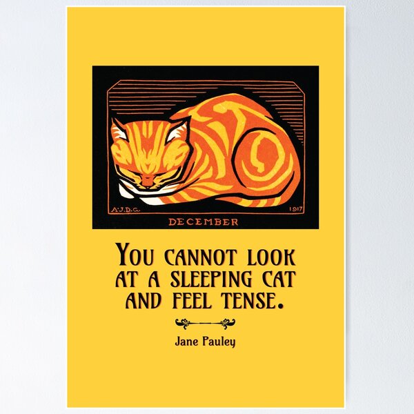 Artikelvorschau, Schlafende Katze Jane Pauley Quote mit Julie de Graag Illustration entworfen und verkauft von STPBooks.
