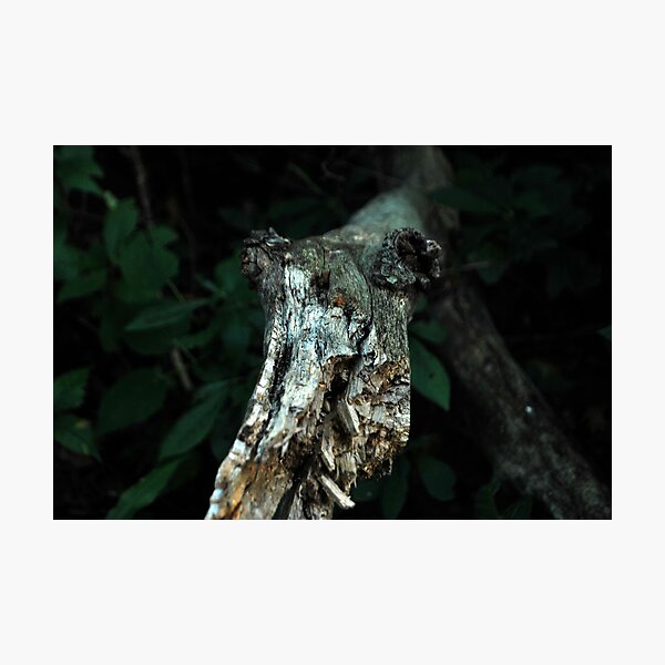 Item preview, Wooded Creature  designed and sold by Jeff stroud.