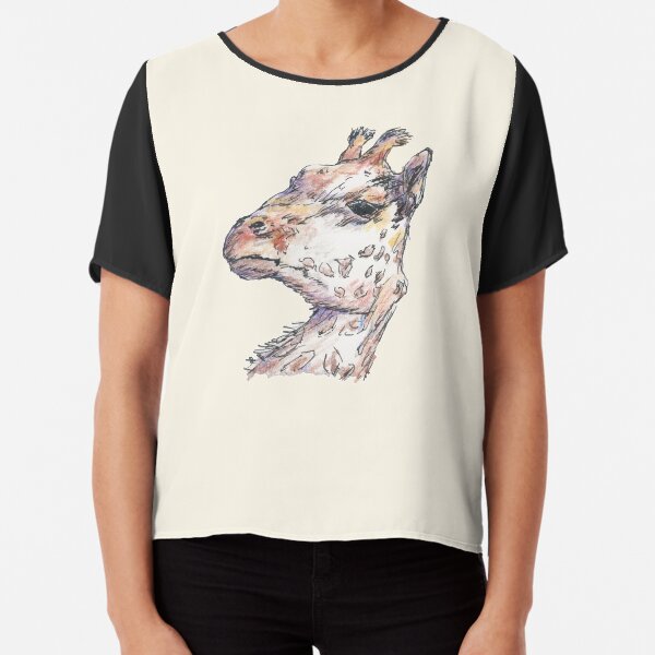 Chiffon Top