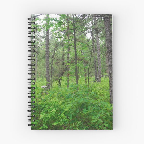 Item preview, Pine Barrens Woodland designed and sold by Allison Ostertag.
