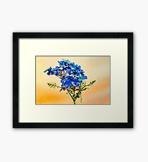 Summer blue flowers Framed Print