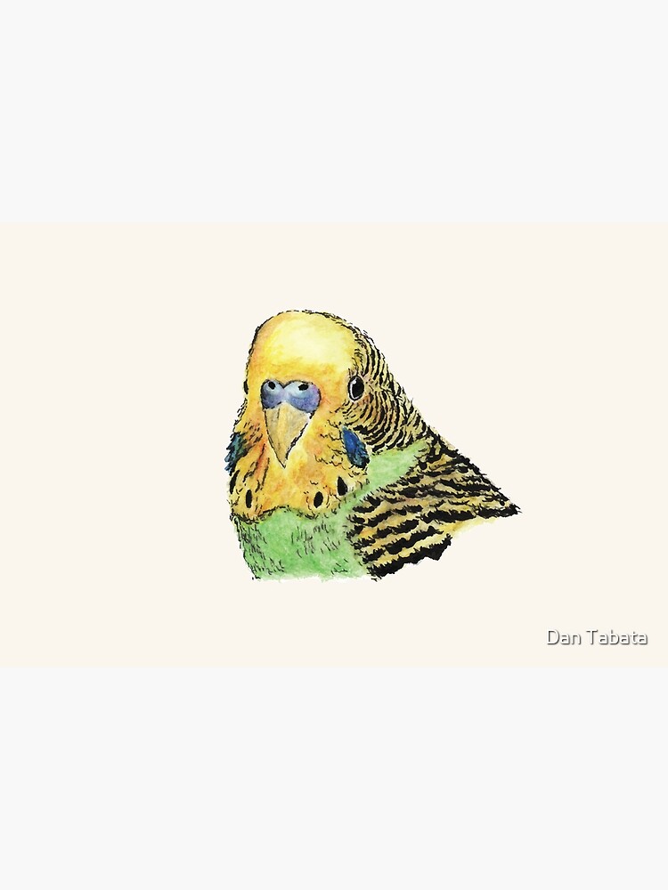 Prettyboy the Green Parakeet by dmtab