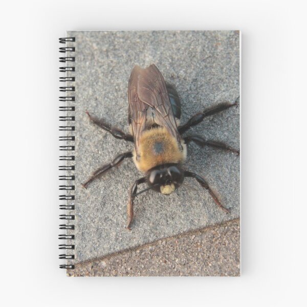 Item preview, Carpenter Bee designed and sold by Eco-Artopia.