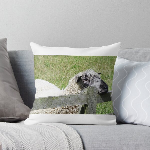 Item preview, Sheep designed and sold by frogs123.
