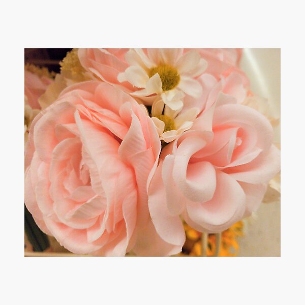 Delicate Pastel Pink Rose bouquet, Spring flowers, Photographic Print
