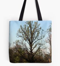 Proudly against the Sky Tote Bag