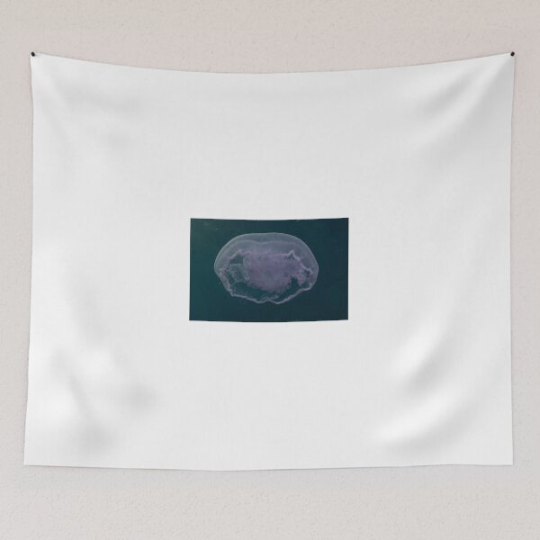 Item preview, Jelly fish in the Red Sea colorful and beautiful, Eilat Israel designed and sold by yeshayad.