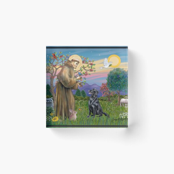 Item preview, St. Francis Blesses a Flat Coated Retriever designed and sold by JeanBFitzgerald.