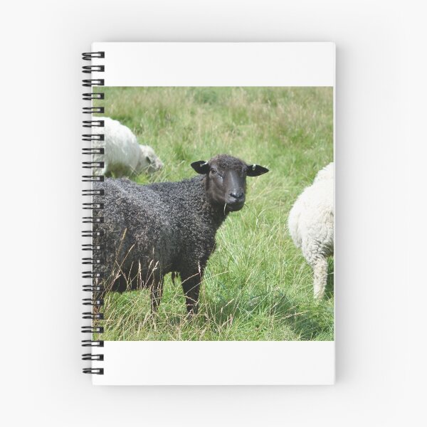 Item preview, Ba Ba Black sheep  designed and sold by frogs123.