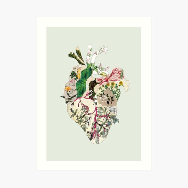 Vintage Botanical Heart on green Art Print