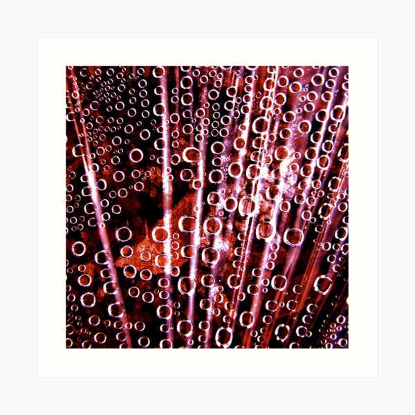 Bubbles Art Print