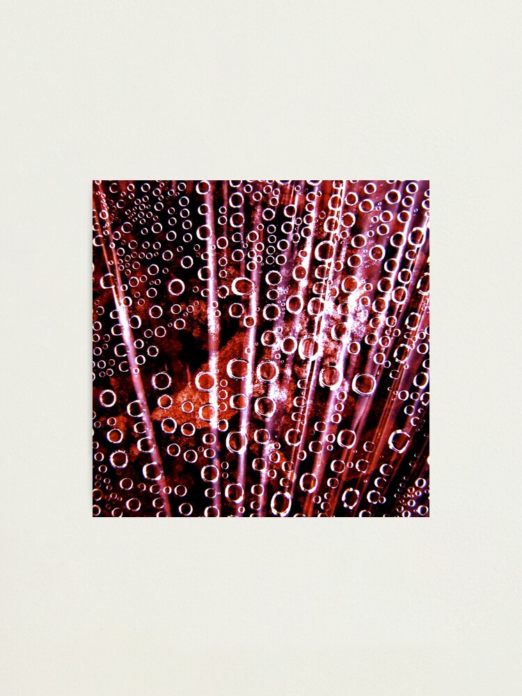 Alternate view of Bubbles Photographic Print
