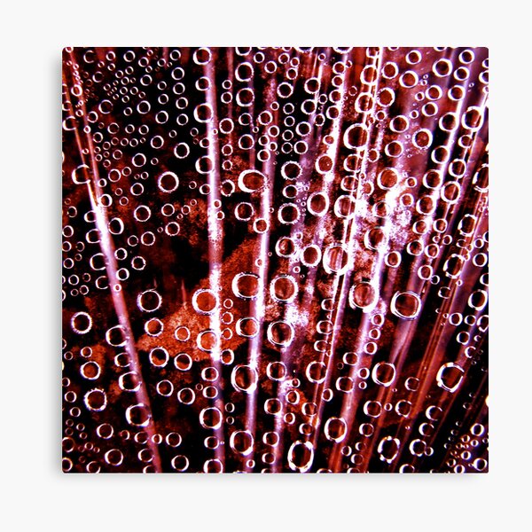 Bubbles Canvas Print