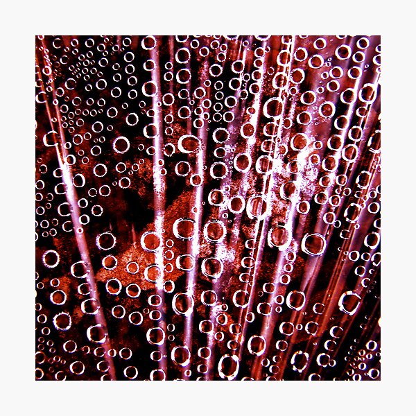 Bubbles Photographic Print