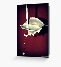 Sploosh!! Greeting Card