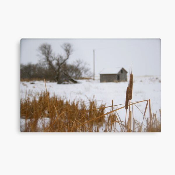 Saskatchewan Winter Metal Print