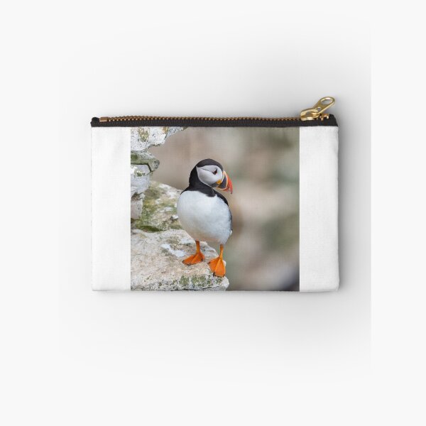 Item preview, Atlantic Puffin designed and sold by Steve Liptrot Photography.