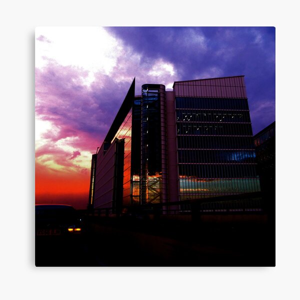 Still Facing Forward Canvas Print