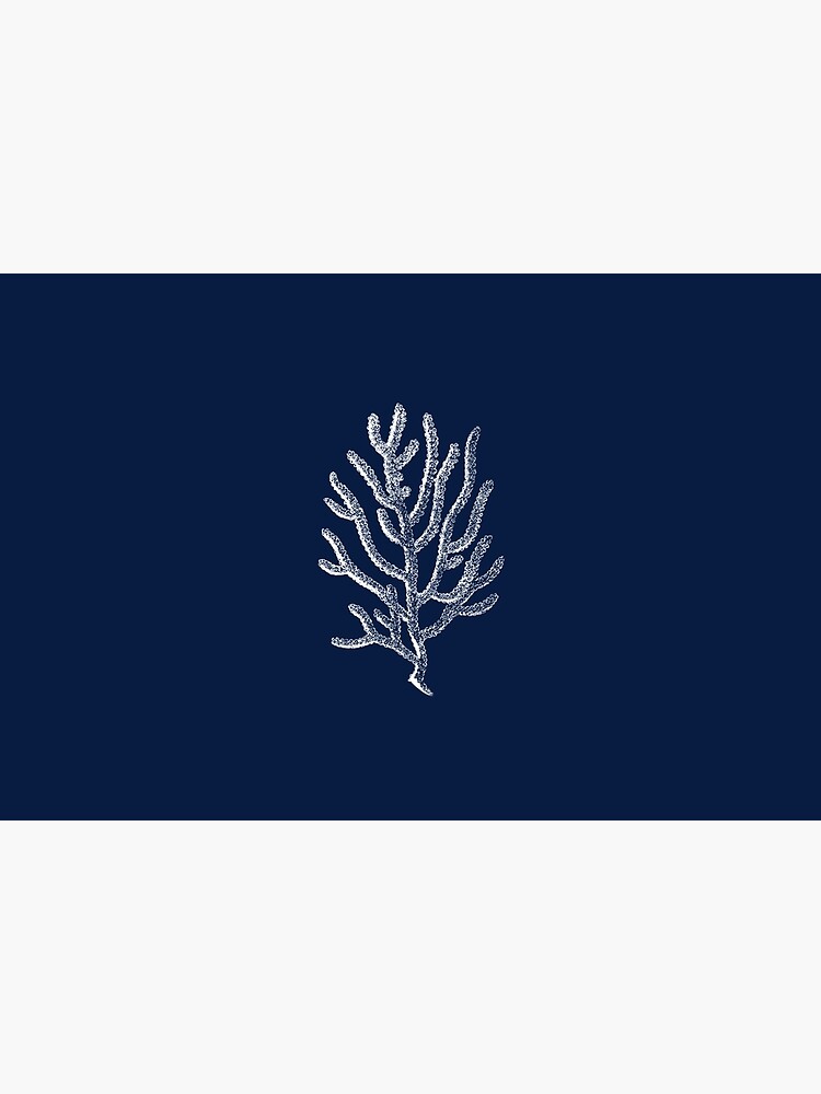 White Coral Illustration on Nautical Navy Blue - Tasteful Minimalist Beach House Design by kierkegaard