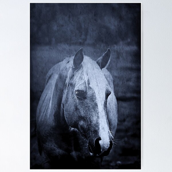 Item preview, Horse in Darkness designed and sold by kristiclaud.