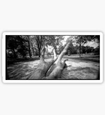 Pinhole Tree Sticker