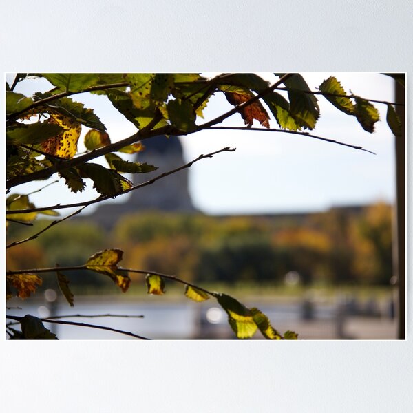 Item preview, Wascana Park in Autumn designed and sold by Raquel Fletcher.