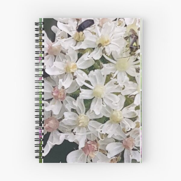 Item preview, Carry on campion (cos it’s hard to pun with cow parsley... designed and sold by jonfun1.