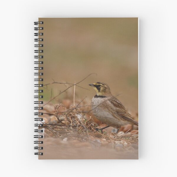 Item preview, Shorelark larking about  designed and sold by miradorpictures.