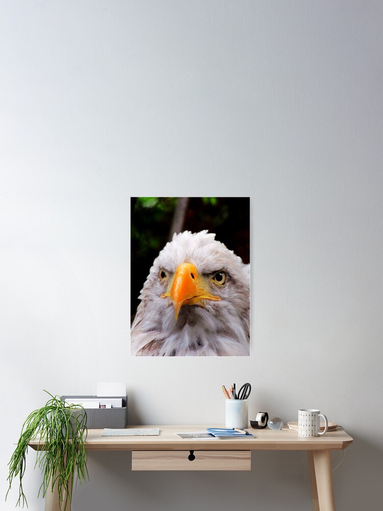 Thumbnail 2 of 3, Poster, His Majesty designed and sold by shutterbug2010.