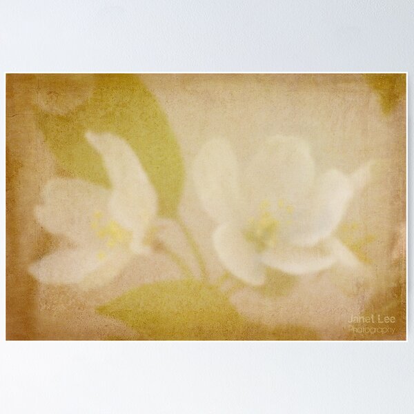 Item preview, dreaming of spring designed and sold by janetlee.