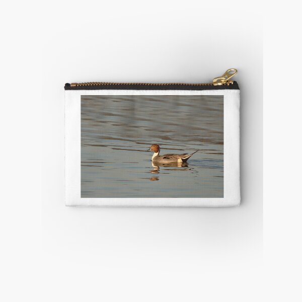 Item preview, Pintail  designed and sold by miradorpictures.