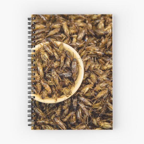Item preview, Thai Market Street Food Insects designed and sold by Kevin Miller Photography.