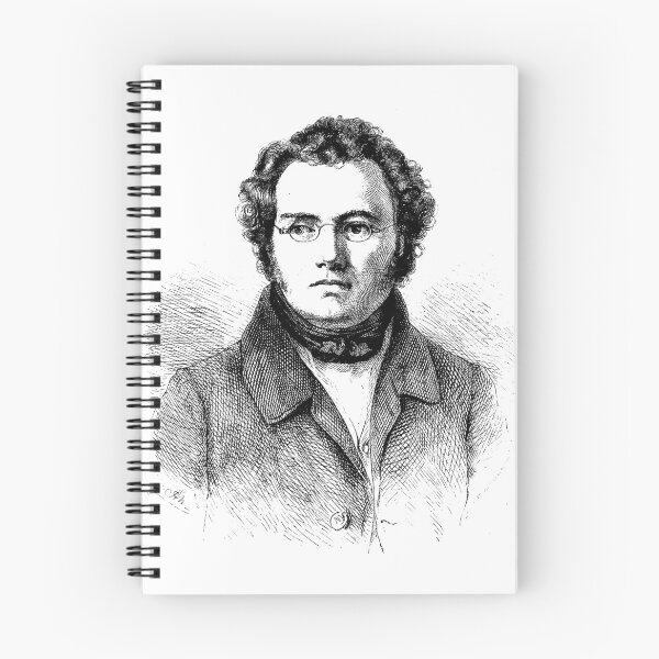 Item preview, Franz Schubert designed and sold by open-score.