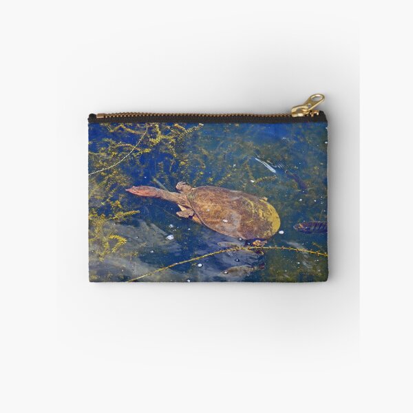 Item preview, southern soft shell turtle designed and sold by Margaret Shark.