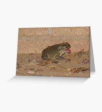 "Blahh, Sour bugs" Toad Greeting Card