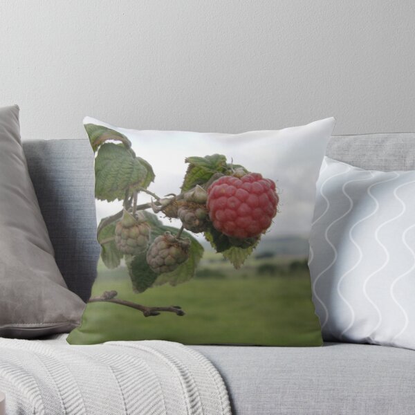 Item preview, The 1st raspberry designed and sold by mikequigley.