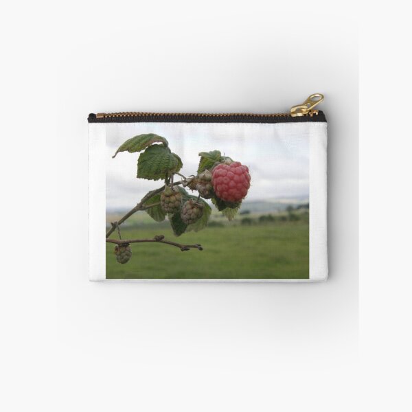 Item preview, The 1st raspberry designed and sold by mikequigley.