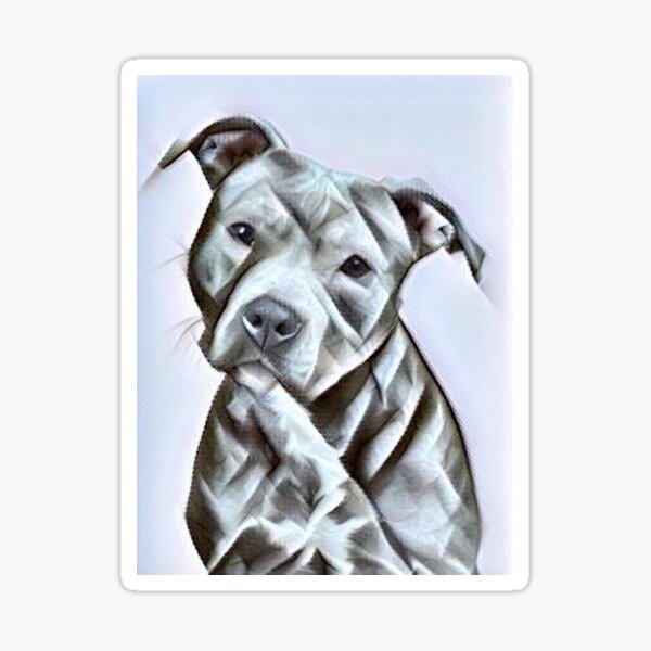 Pit Bull dog lover, a beautiful design of a Blue Nose PitBull of this gentle loyal breed Sticker