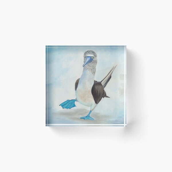 Item preview, Booby bird designed and sold by julienkelly.
