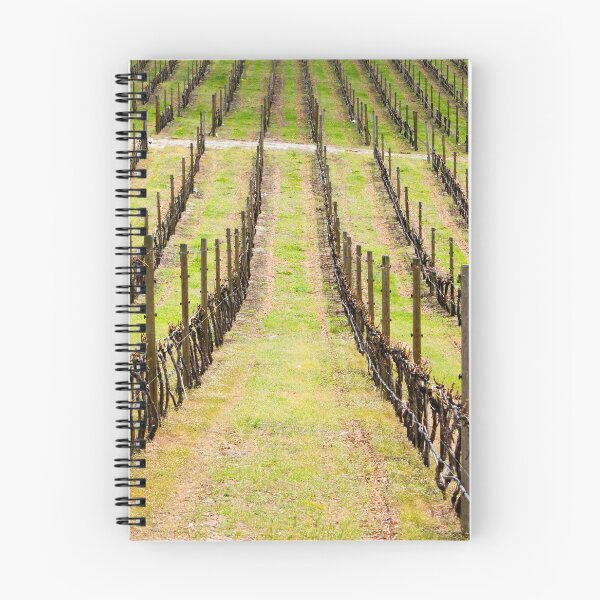 Item preview, Okanagan Valley Winery Vineyard Springtime designed and sold by Kevin Miller Photography.
