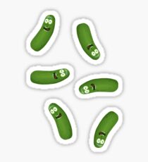 Pickle Riiiiick! Sticker