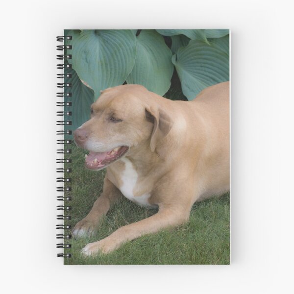 Item preview, Dog Relaxes designed and sold by Klezedawg Imaging.