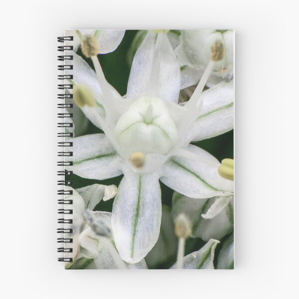 Item preview, Single Onion Flower designed and sold by DPalmer.