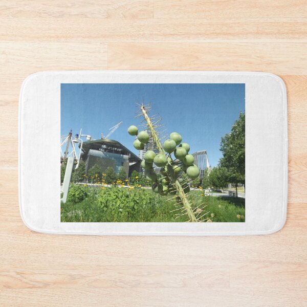 Item preview, Flower Close-Up, Roosevelt Island, New York City  designed and sold by lenspiro.