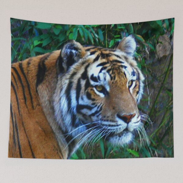 Item preview, Tiger designed and sold by ArtistsQuest.