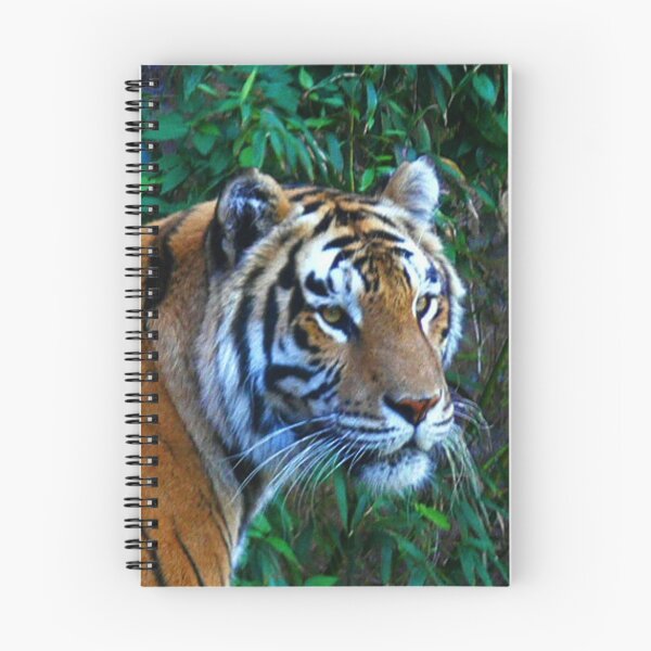 Item preview, Tiger designed and sold by ArtistsQuest.